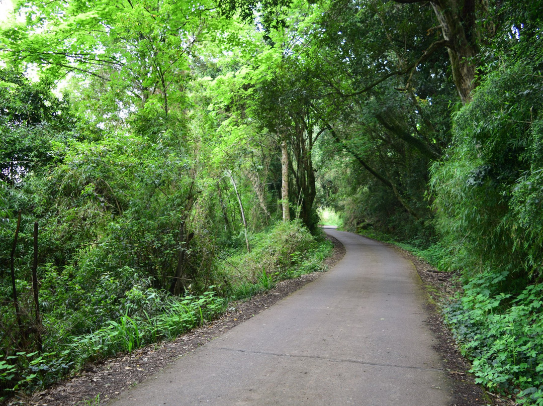 维多利亚旅游景点-Monumento Natural Cerro Ñielol