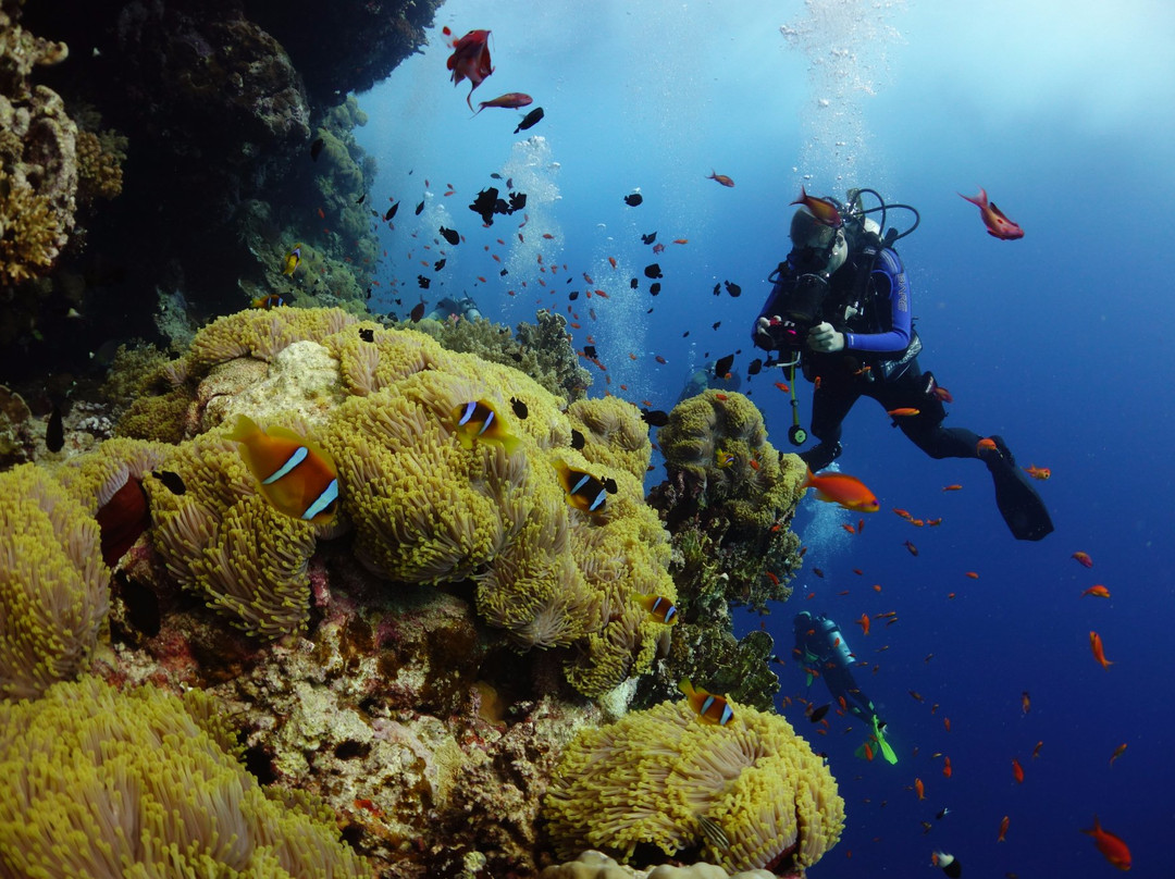 Daedalus Reef Lighthouse-红海和西奈半岛必去景点