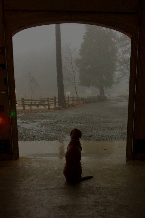 Rucksack Cellars-普莱瑟维尔必去景点