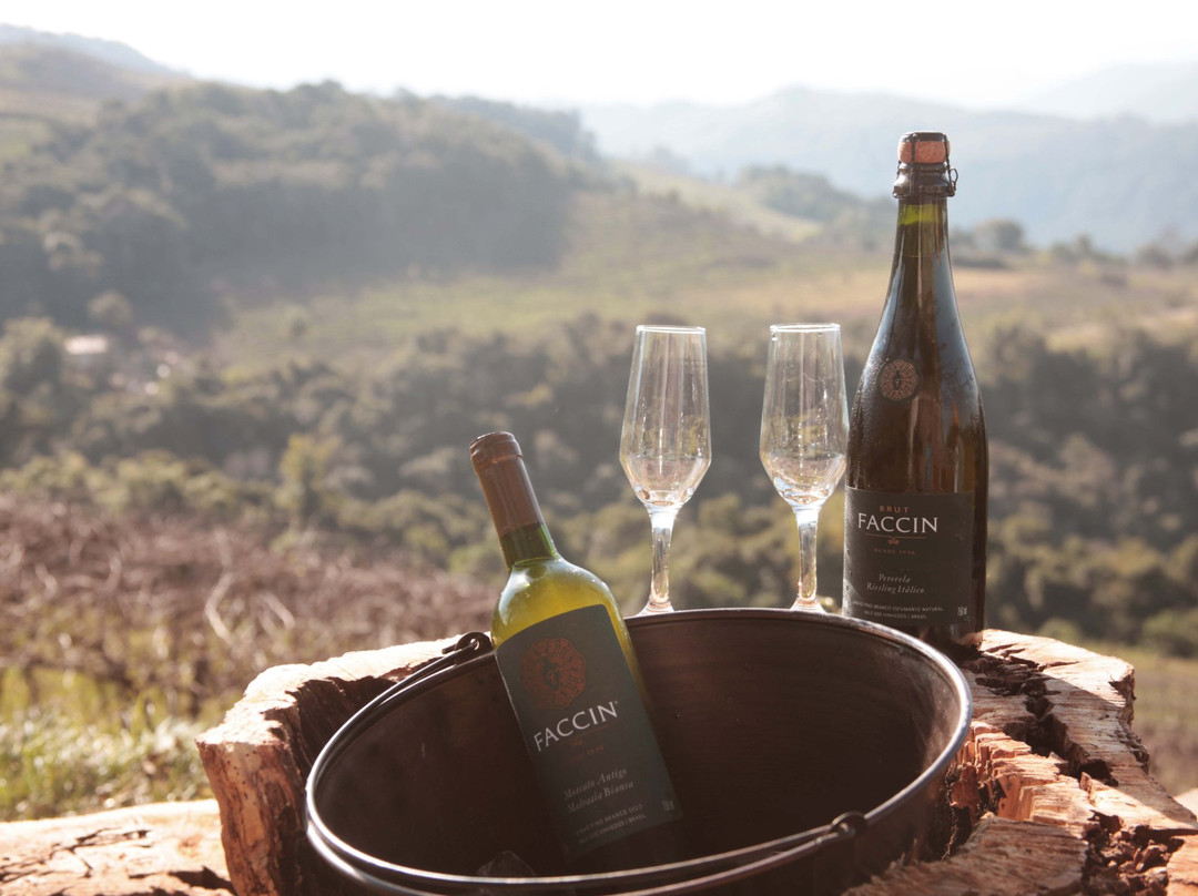 Faccin Vinhos-Monte Belo do Sul必去景点