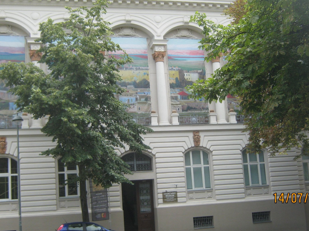 Tivadar Csontvary Museum-佩奇必去景点