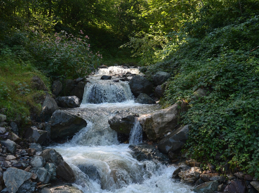 Eifersbacher Waterfall Wanderweg景点图片