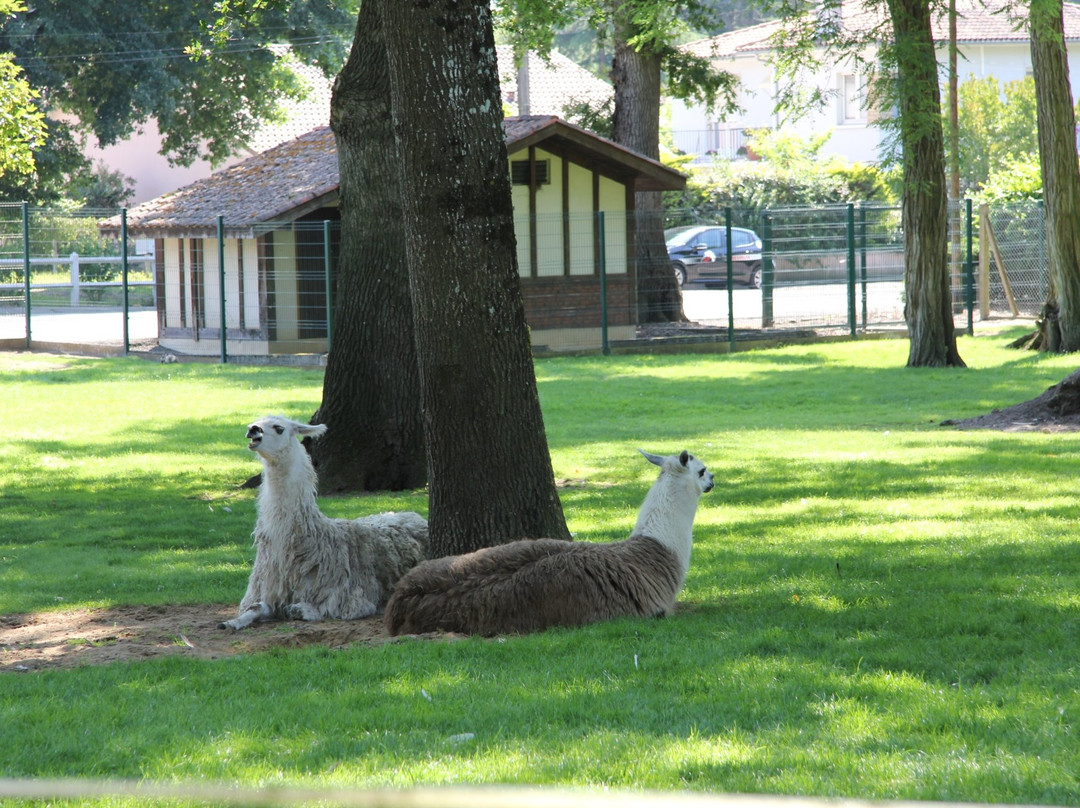 Parc Animalier De Nahuques景点图片