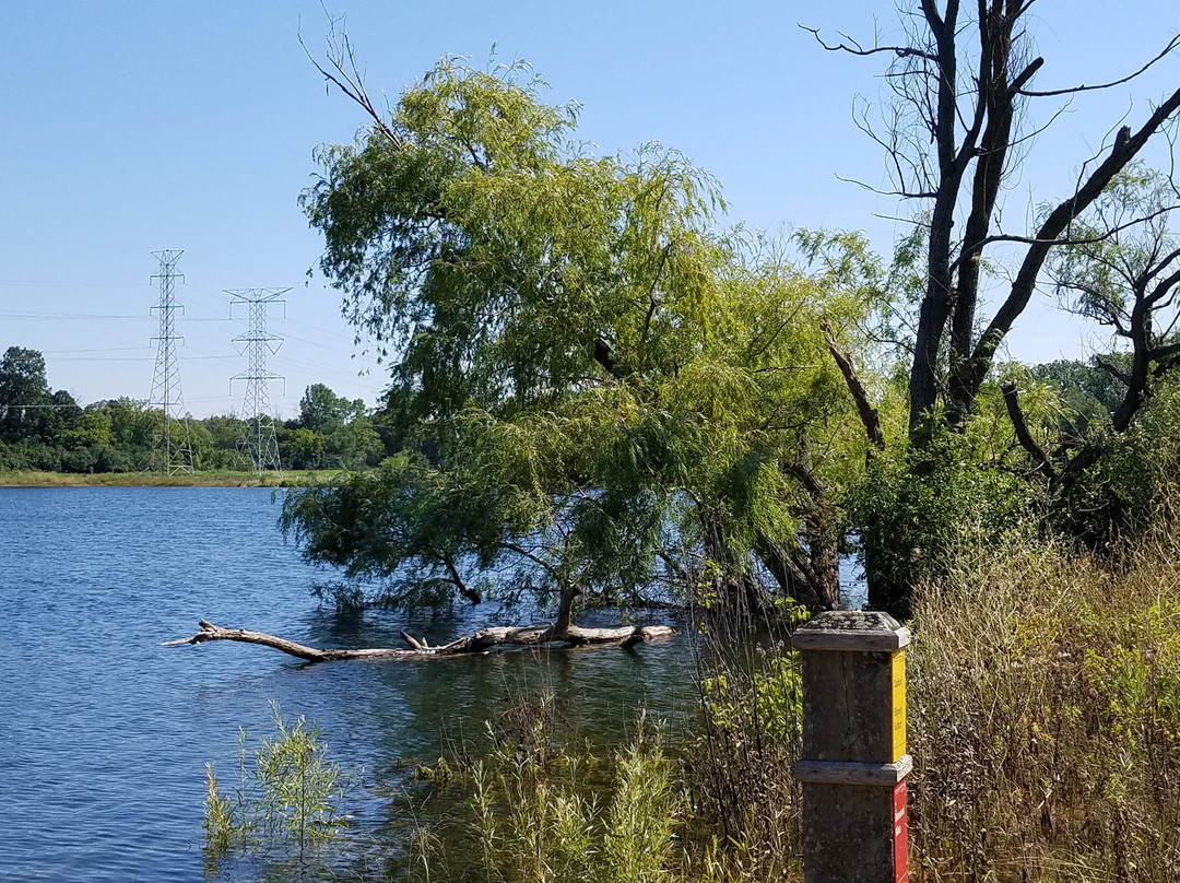 Lake Carina-Grayslake必去景点