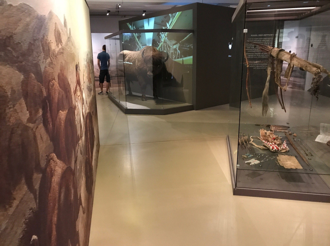 Nordamerika Native Museum - NONAM景点图片
