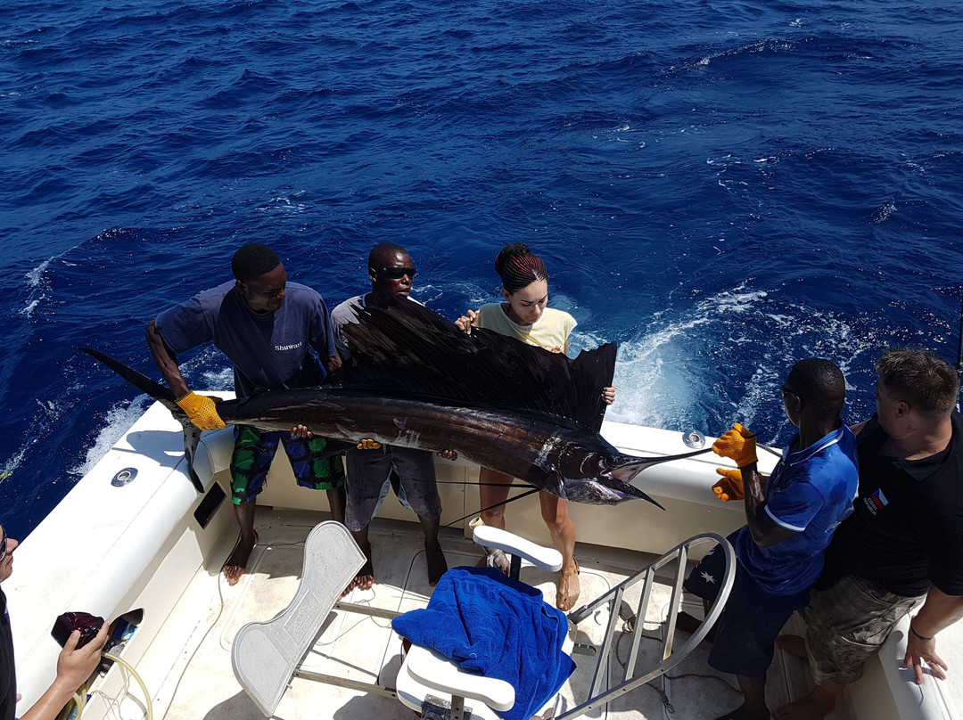 Shuwari Sportfishing景点图片