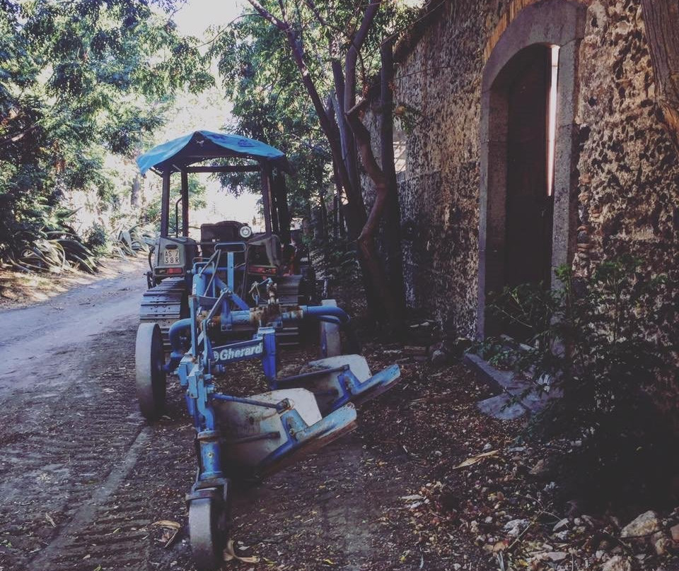 Antico Borgo di Carcaci景点图片
