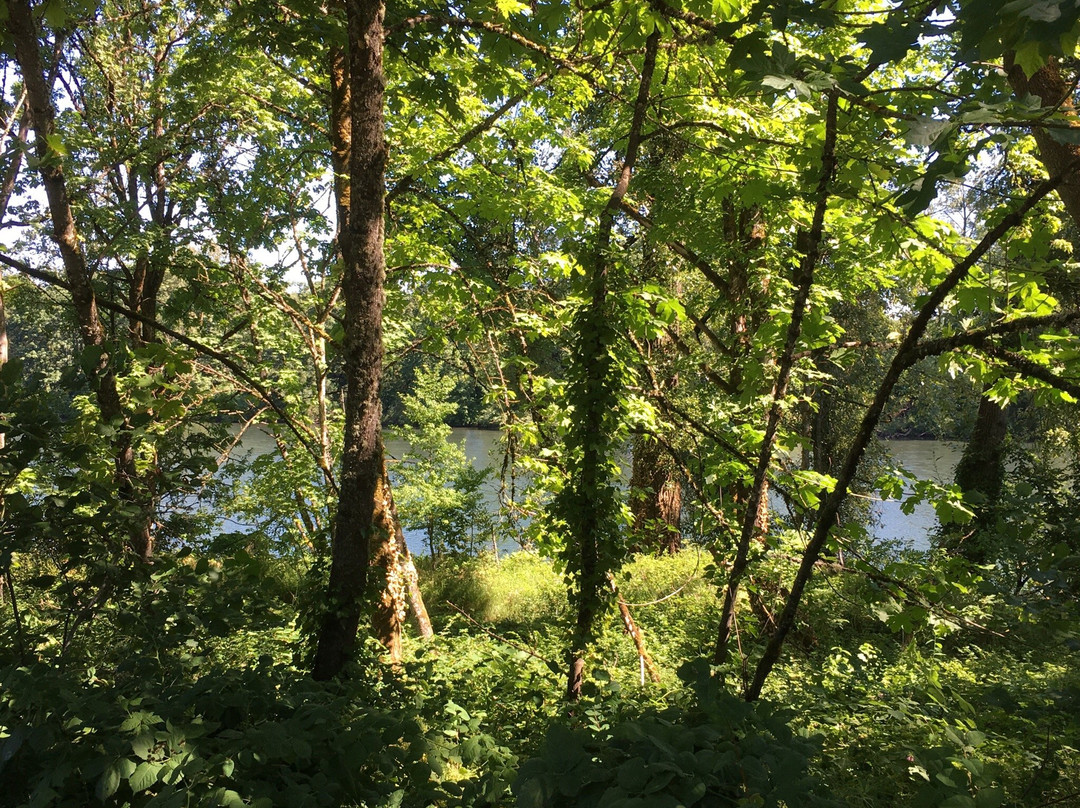 威拉米特河自行车道-尤金必去景点