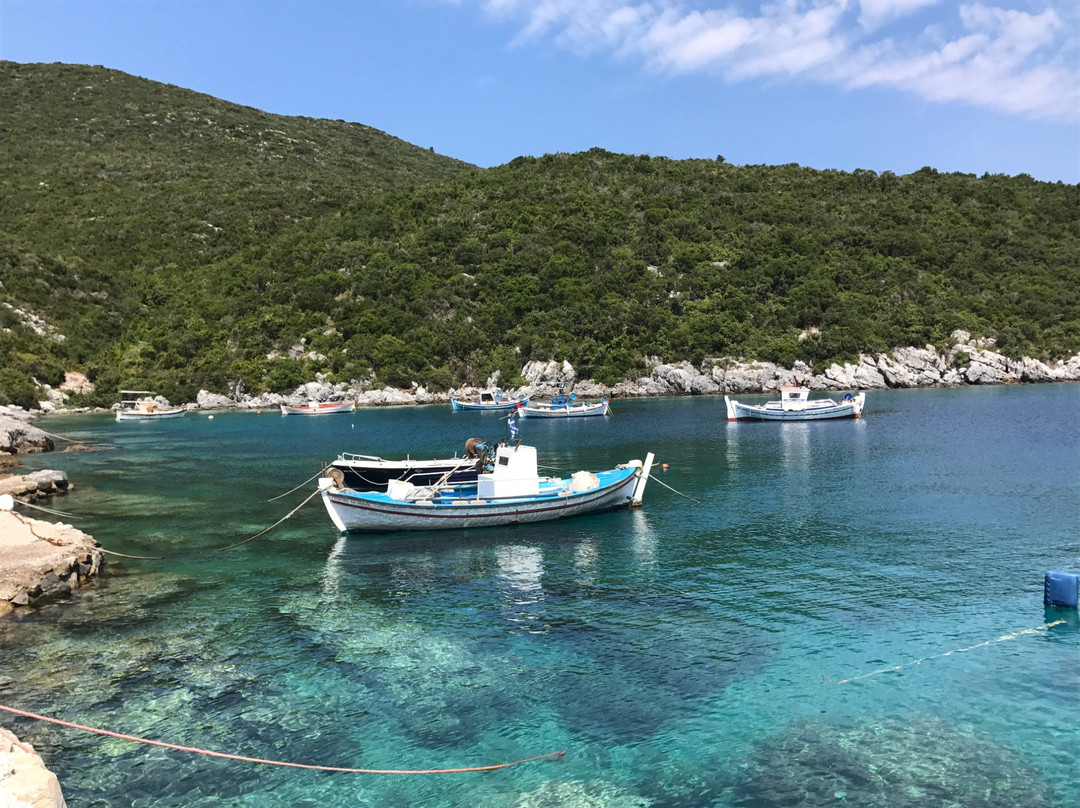 Fokiano旅游攻略图片