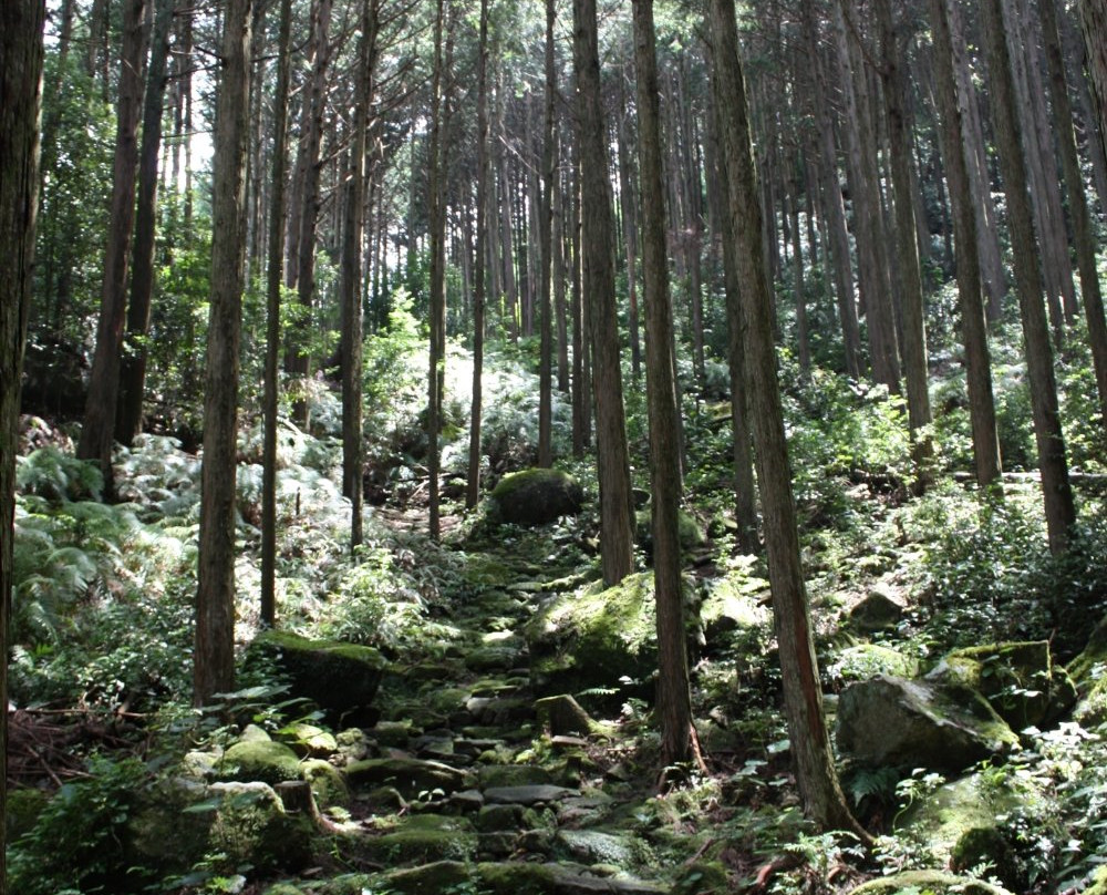 Miki Pass, Hago Pass景点图片