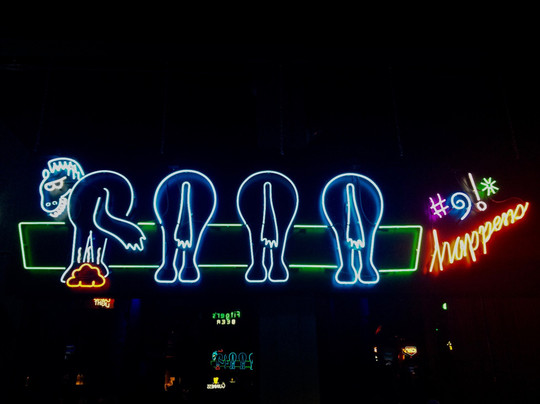 Palomino Club-温尼伯必去景点