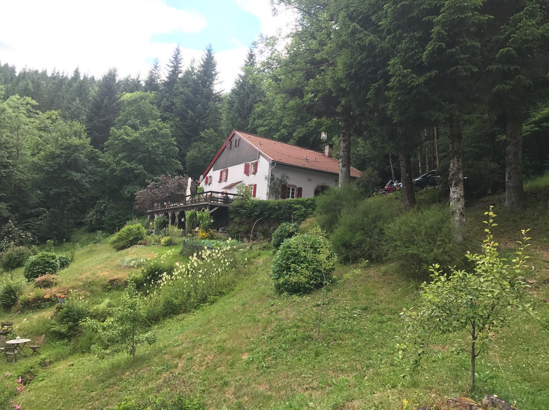 B&b Goutte À Goutte主图