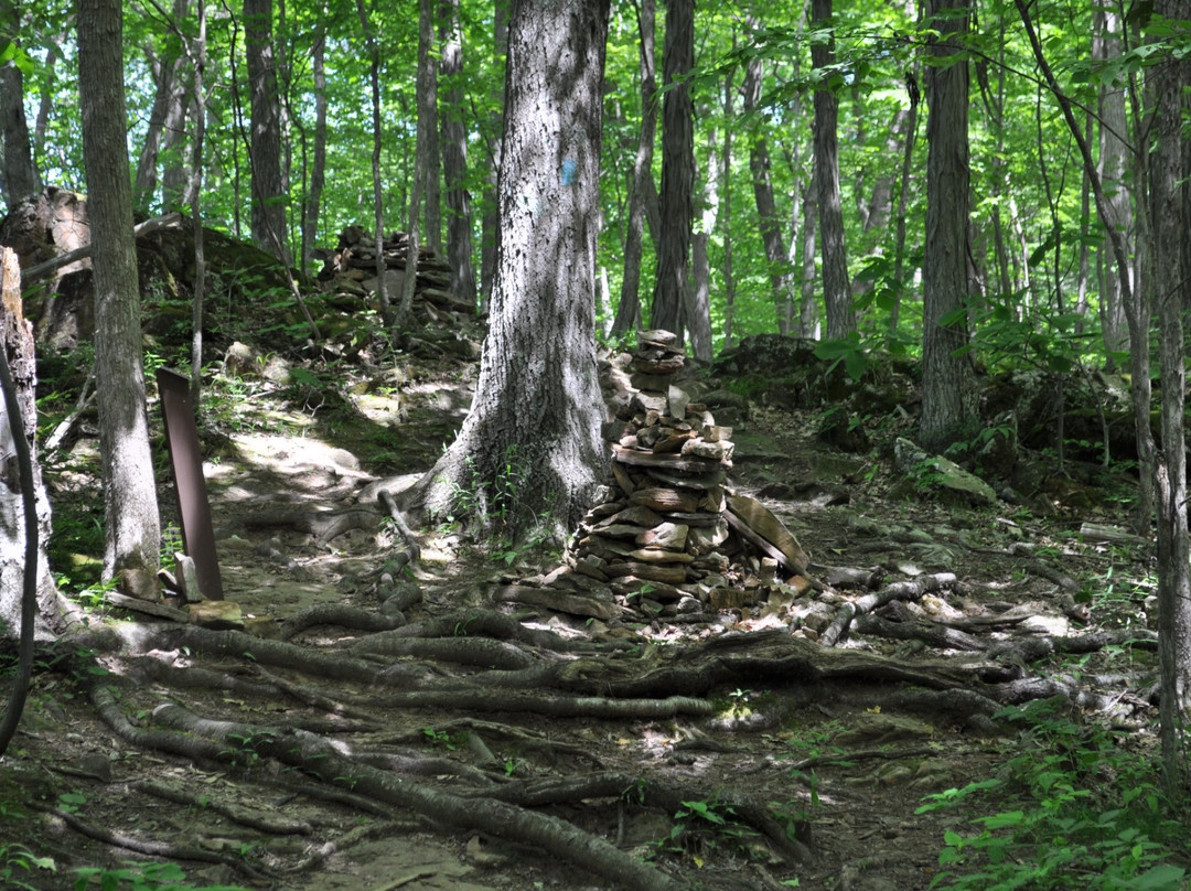 Niquette Bay State Park-Colchester必去景点