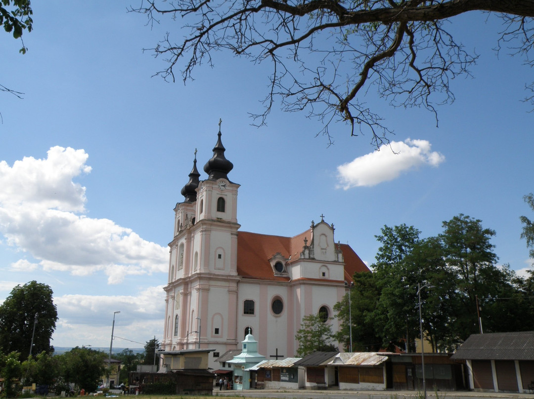 Basilika Maria Dreieichen景点图片