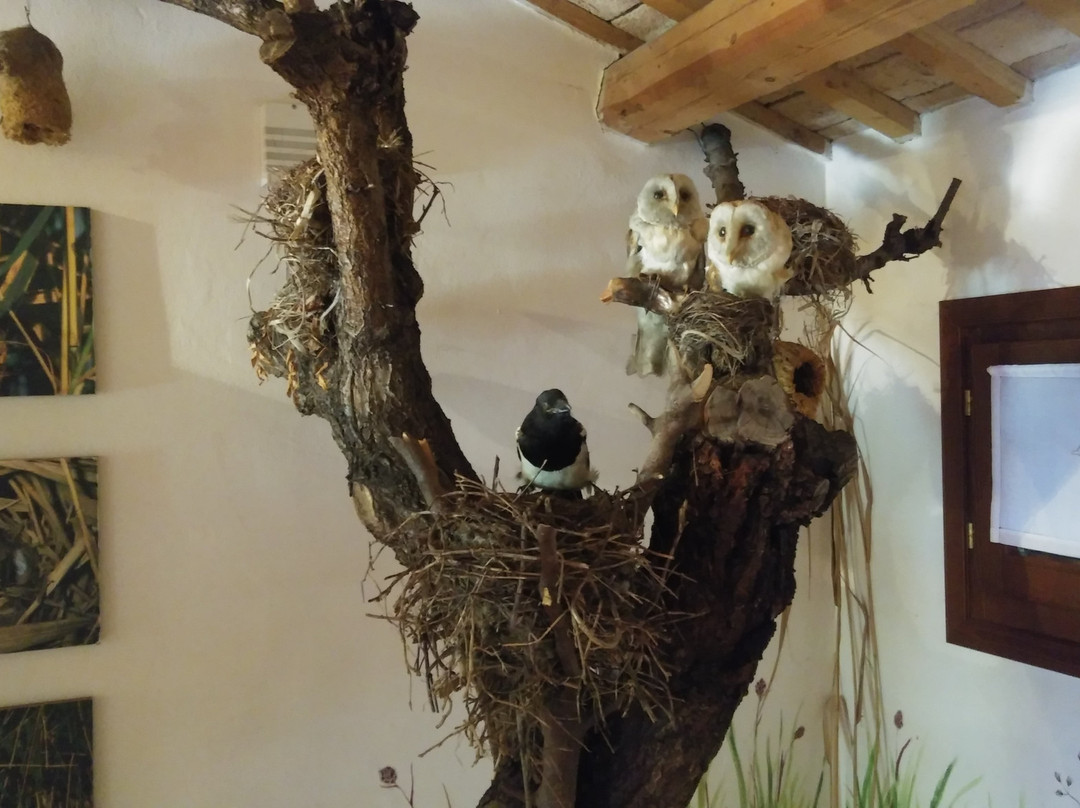 Museo della Corte-Porto Viro必去景点