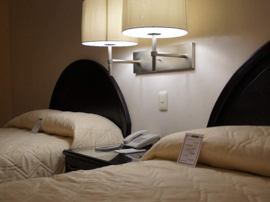 Hotel Santa Cecilia Huejutla主图