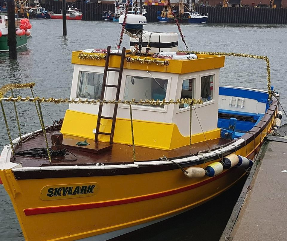 Skylark Coastal Cruises景点图片