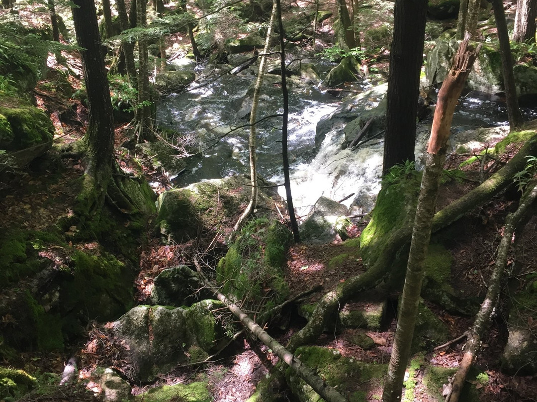 Royalston Falls景点图片