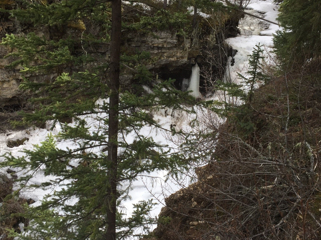 Quality Falls Hiking Trail-Tumbler Ridge必去景点