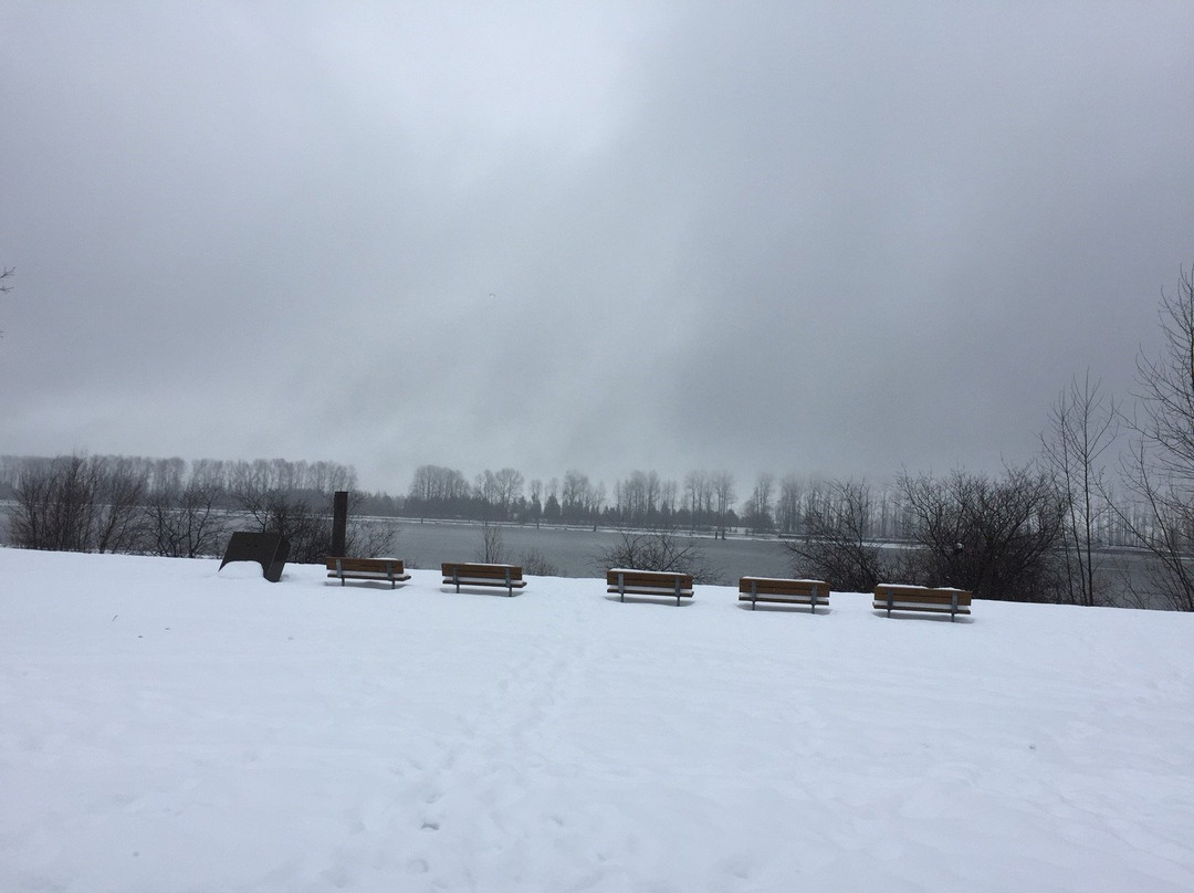 Peace Park-高贵林港必去景点