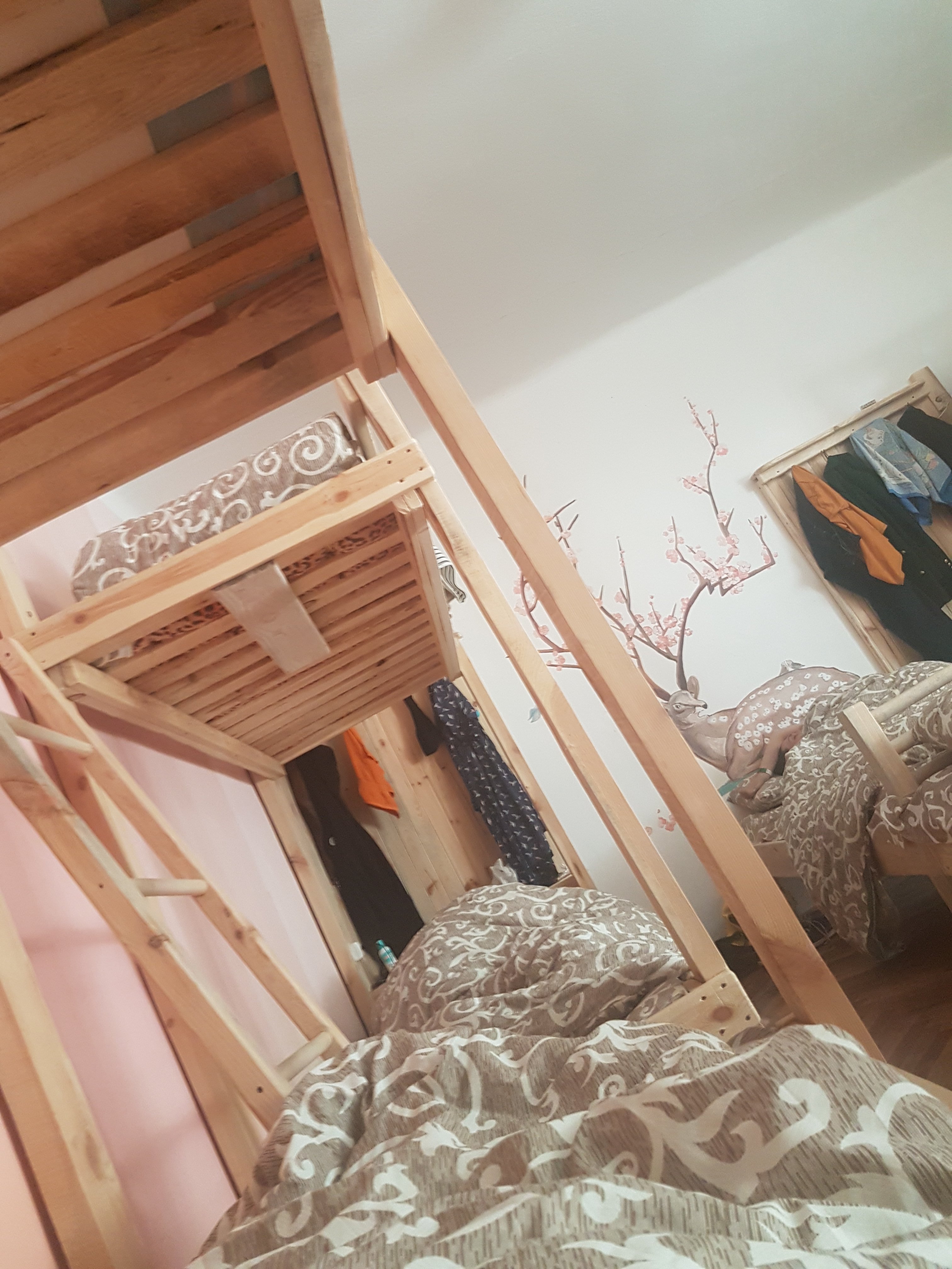 Baron Munchausen Guest House-官方