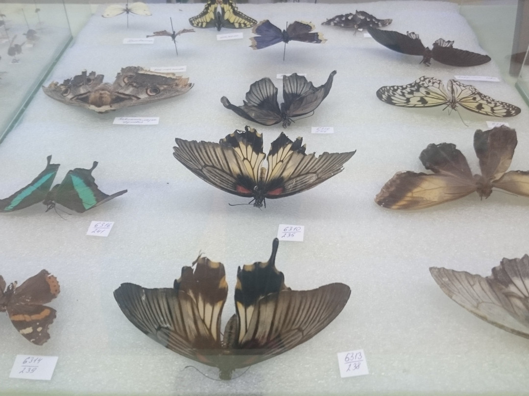 Ecology Museum-Naberezhnye Chelny必去景点