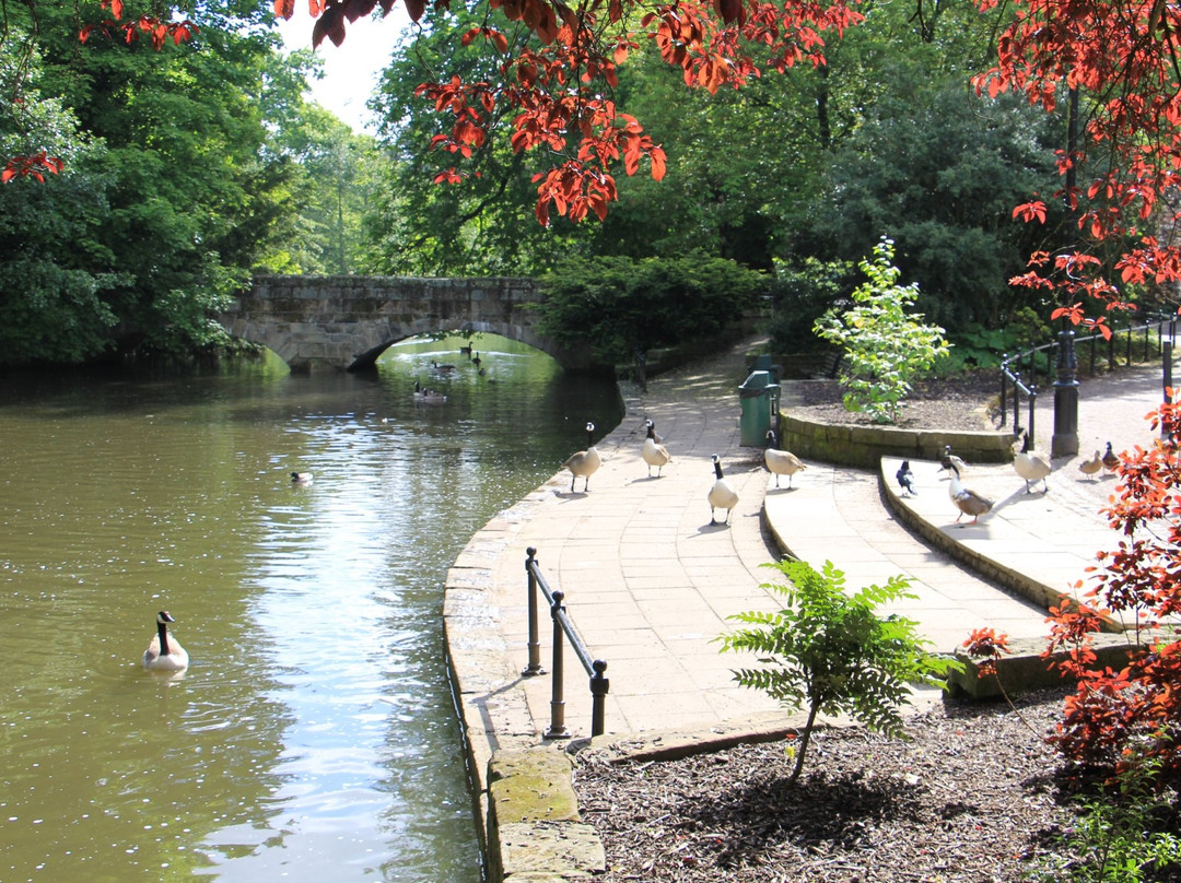 德比旅游景点-Markeaton Park