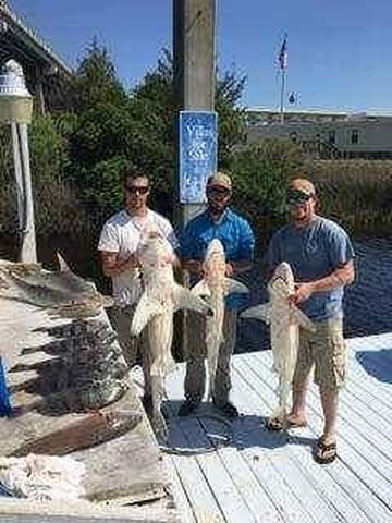 Tailn' Tides Charters-美特尔海滩必去景点