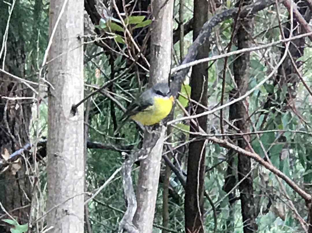 Aberfeldy Four Wheel Drive Track-Aberfeldy必去景点