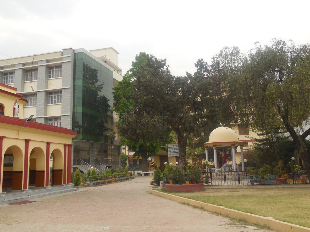 St. Joseph's Cathedral景点图片