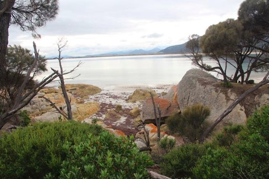 Trousers Point Walk-Flinders Island必去景点
