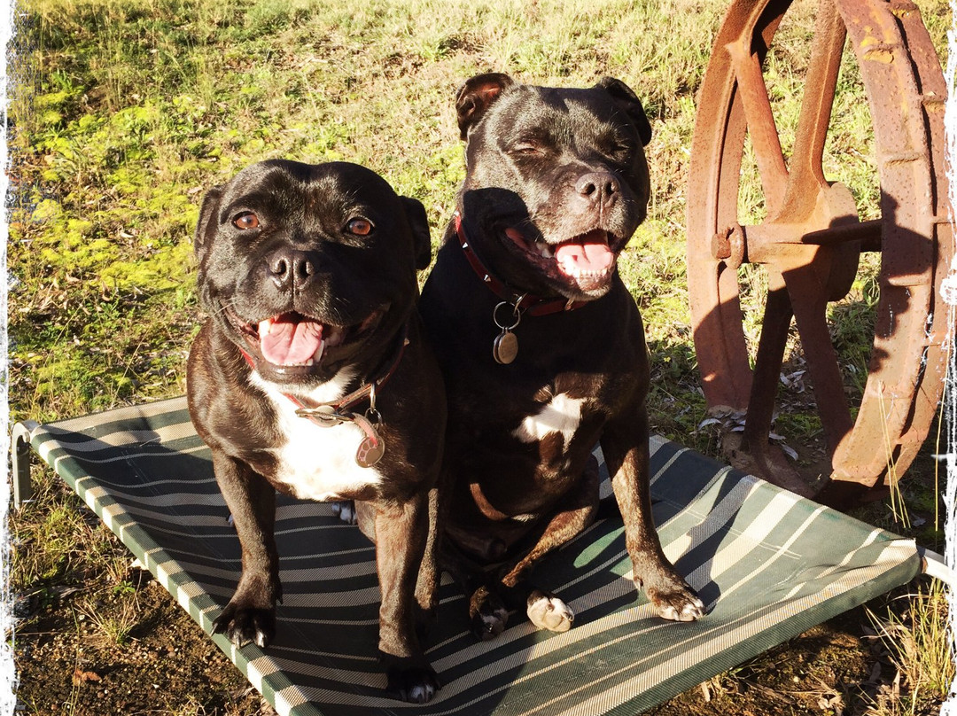 Lucy's Run Wines-Lovedale必去景点