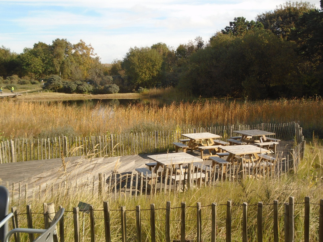 Flemish Visitors and Nature Education Centre景点图片