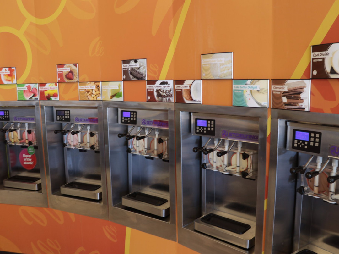 The Swirl Cafe Frozen Yogurt boba tea - Page