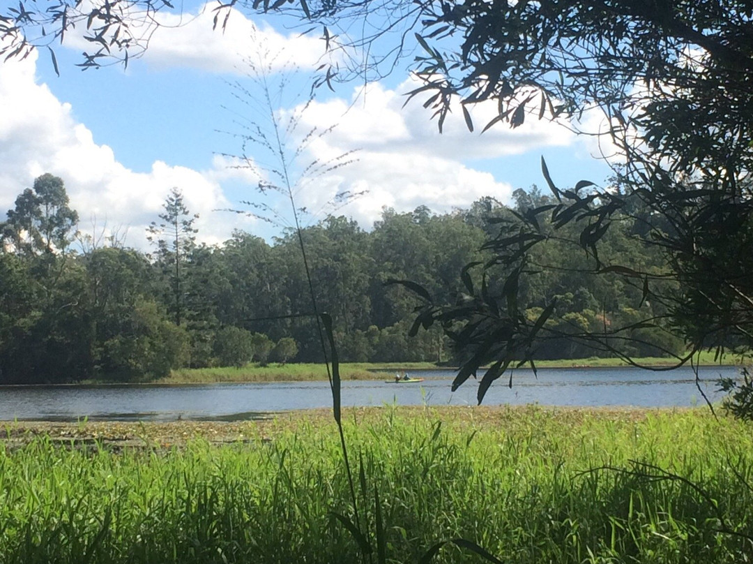 Walkabout Creek Discovery Centre-布里斯班必去景点