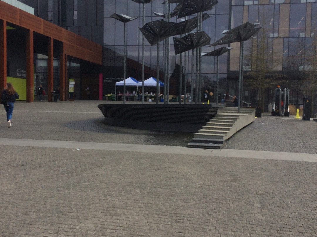 Oxford Brookes University景点图片