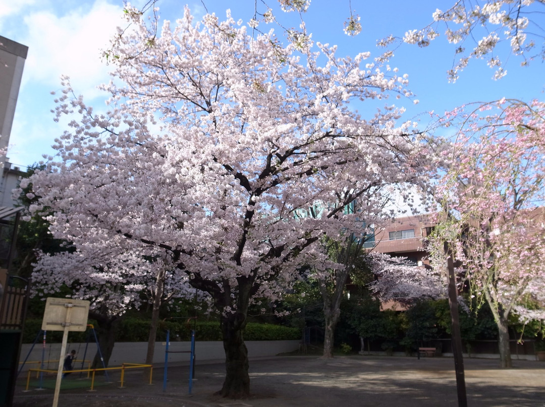 Mikawadai Park-Roppongi必去景点