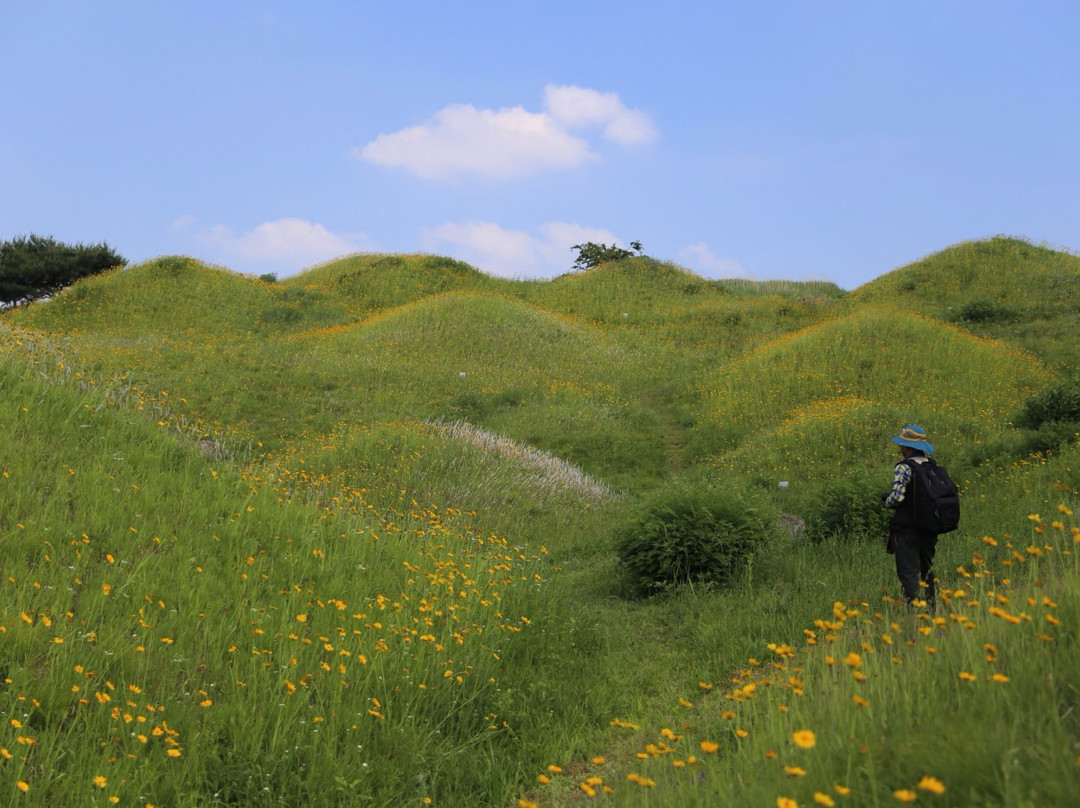 Bullodong Ancient Tomb Park-大邱必去景点