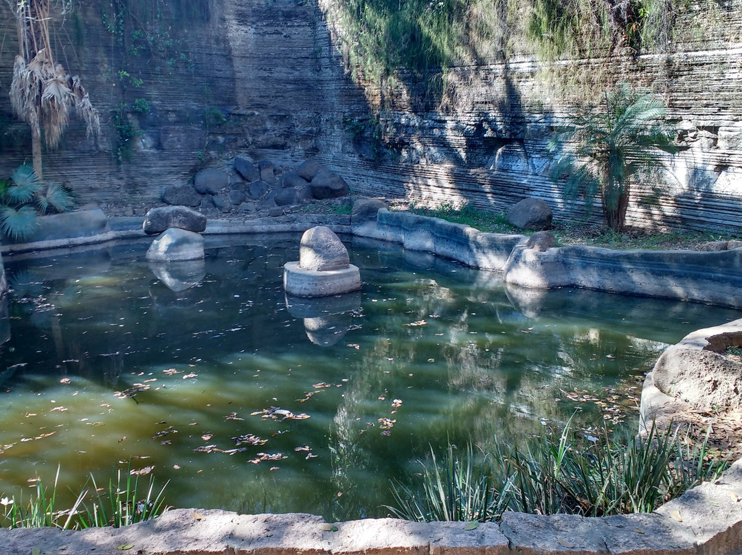 伊图旅游攻略图片