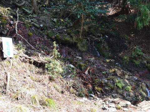 Ugakei Camping Site-员弁市必去景点