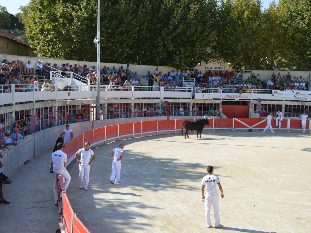 Nîmes Tourisme- Bureau d'accueil Saint-Gilles-Saint-Gilles必去景点
