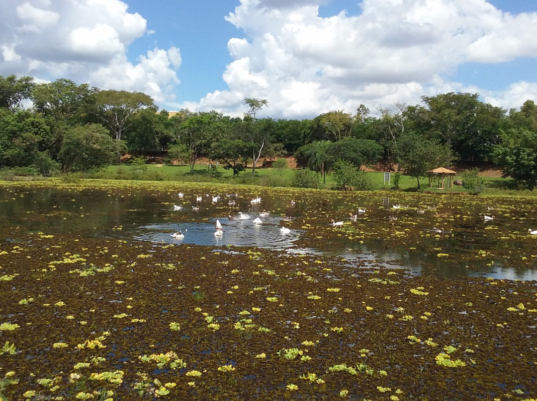 Parque Do Lago-Salto必去景点
