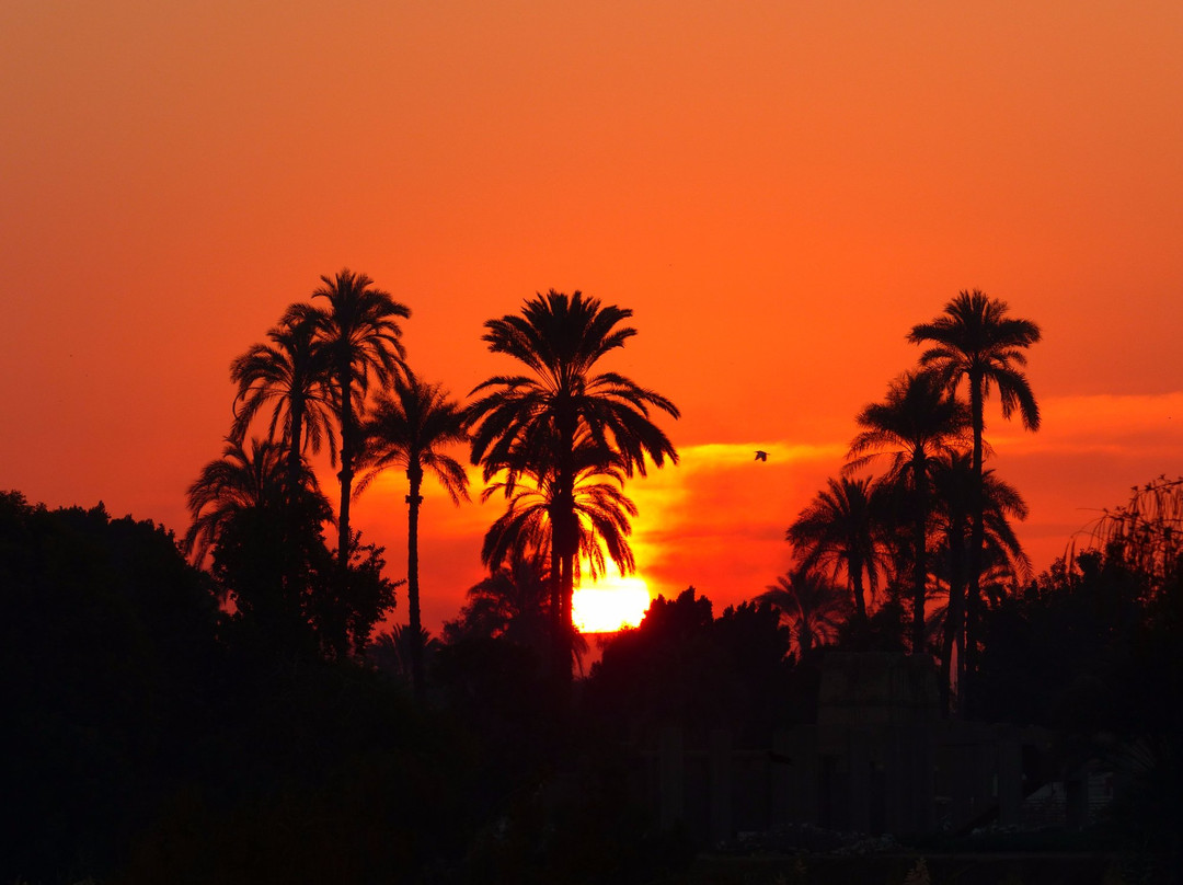 Travel Egypt Inc-开罗必去景点