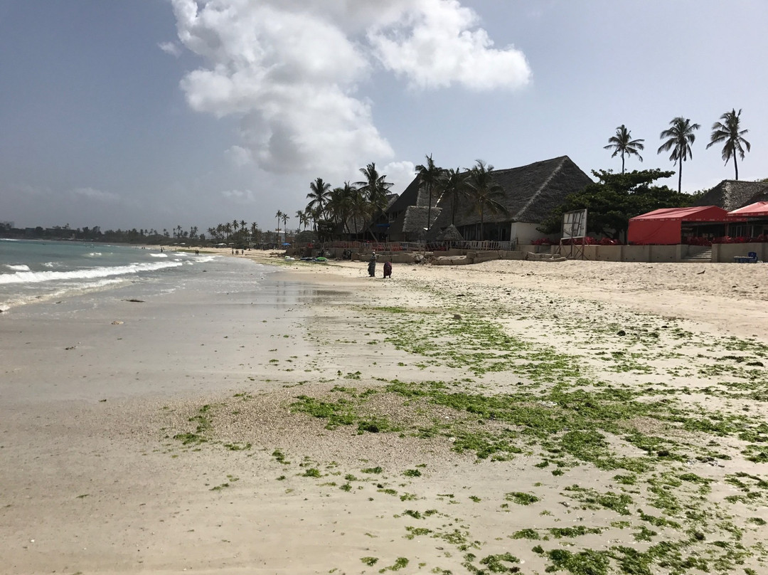 Coco Beach-Dar es Salaam必去景点