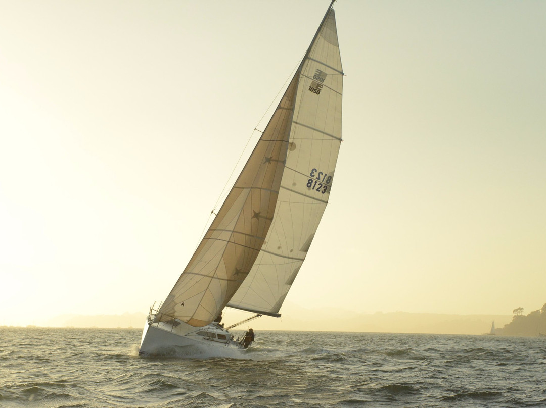 Sailing Memo Boat Charters景点图片