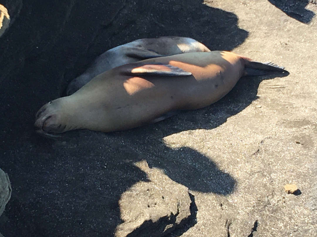 Galapagos Real Voyage-皮钦查省 圣安东尼奥镇必去景点