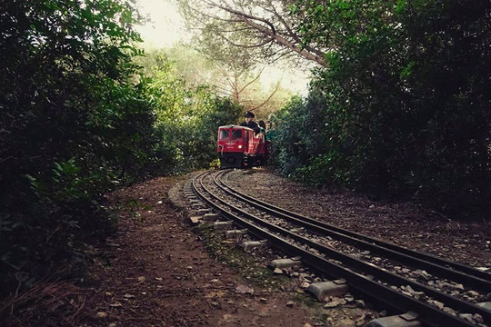 Tren de l'Oreneta-巴塞罗那必去景点