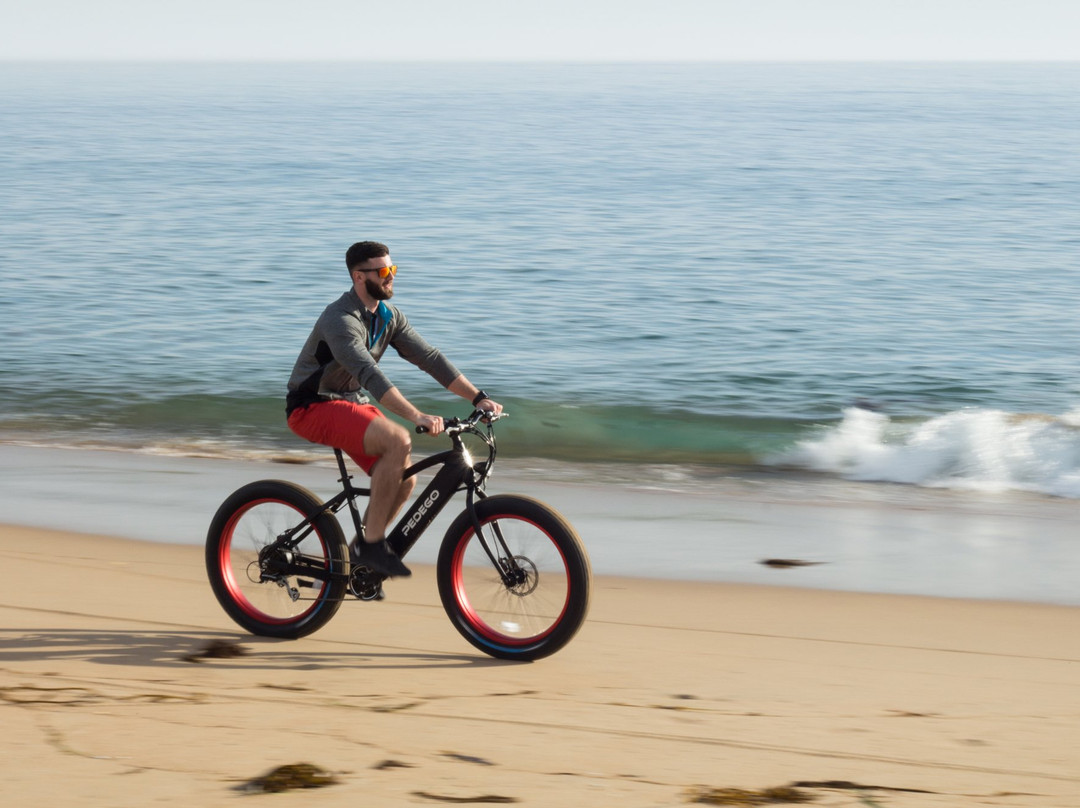 Pedego Electric Bikes Juno Beach-朱诺海滩必去景点