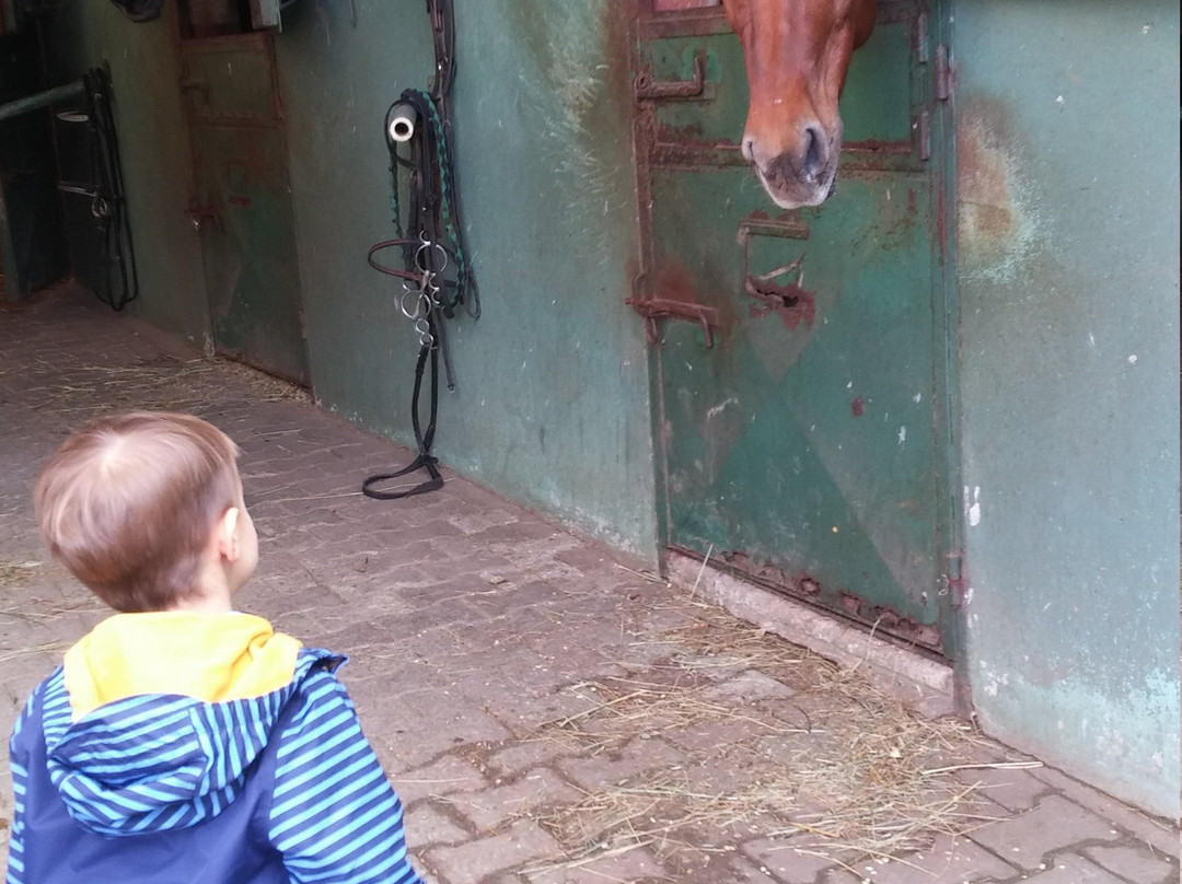 Göçmen's Ranch-伊斯坦布尔必去景点