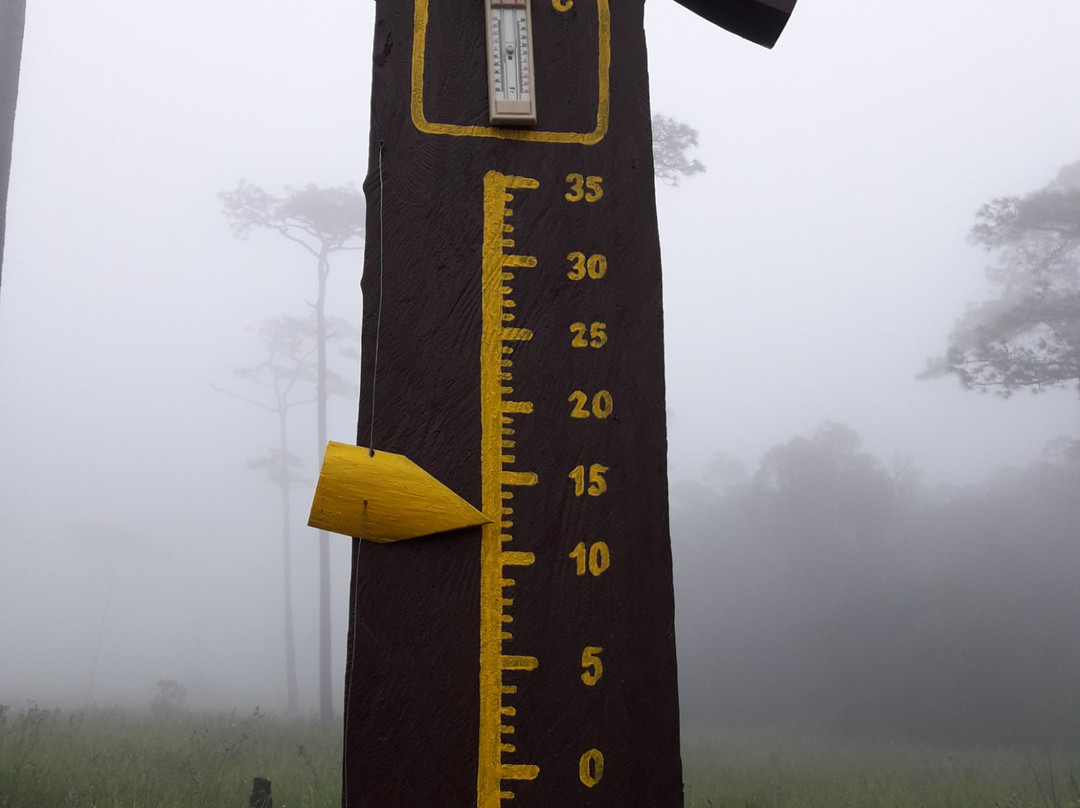 Phu Soi Dao National Park景点图片
